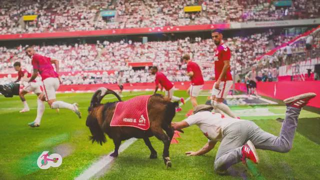 托马斯, dingy, 法兰克福