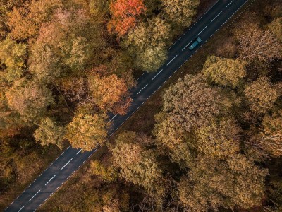 amp, 他们的成绩 amp, 他们的成绩